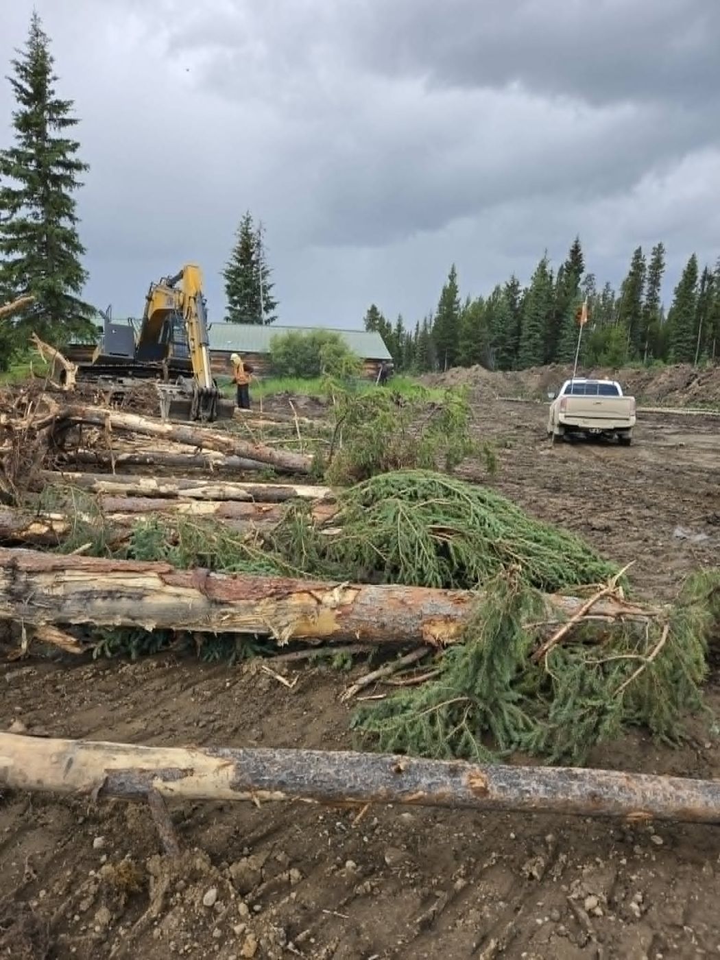 Delimbed logs stacked beside an excavator